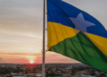 Crescimento contínuo torna Rondônia polo de inovação cooperativista 6 Crescimento contínuo torna Rondônia polo de inovação cooperativista