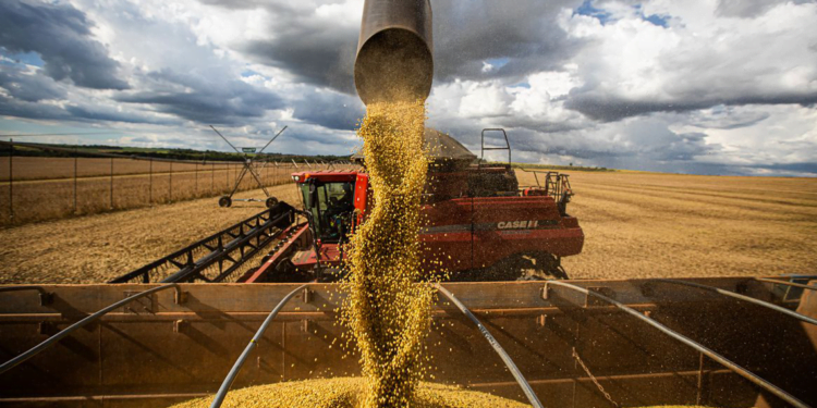 Cooperativismo atua como propulsor de exportações agrícolas