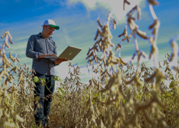 Pesquisa indica que digitalização pode ser aliada no acesso ao crédito rural