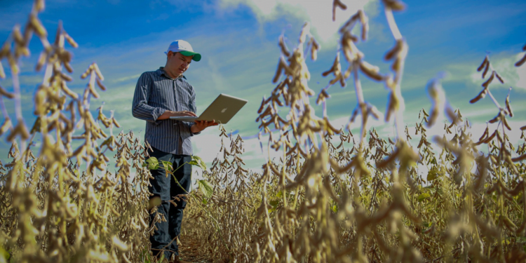 Pesquisa indica que digitalização pode ser aliada no acesso ao crédito rural