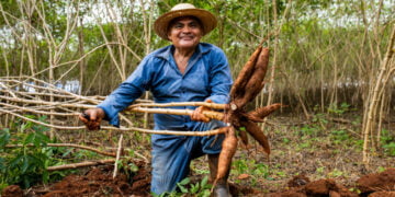 Cooperativa se torna ecossistema de transformação e ganha atenção da nova geração