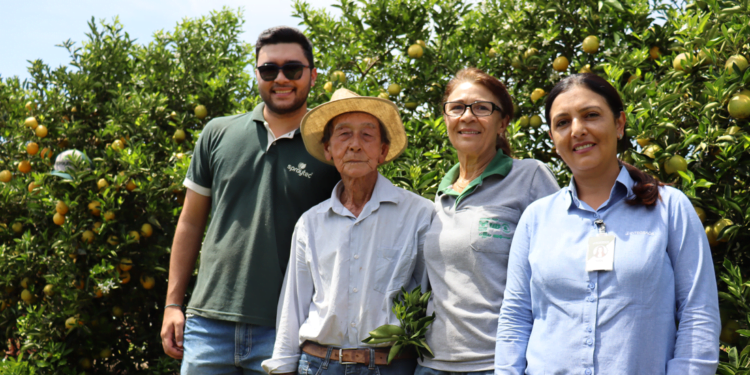 Cooperativa agropecuária lança campanha de combate ao greening