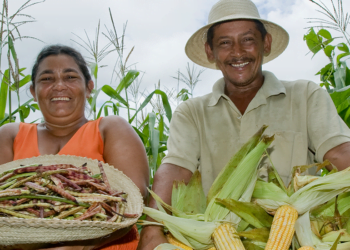 Governo do Ceará isenta ICMS de produtos de cooperativas da agricultura familiar