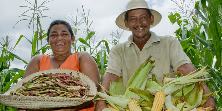 Governo do Ceará isenta ICMS de produtos de cooperativas da agricultura familiar