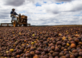 Cooperativa fica entre as 100 maiores do Agro 2023 da Forbes