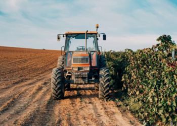 Cooperativas agropecuárias movimentam R$ 4,3 bilhões no Espírito Santo