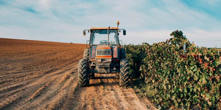 Cooperativas agropecuárias movimentam R$ 4,3 bilhões no Espírito Santo