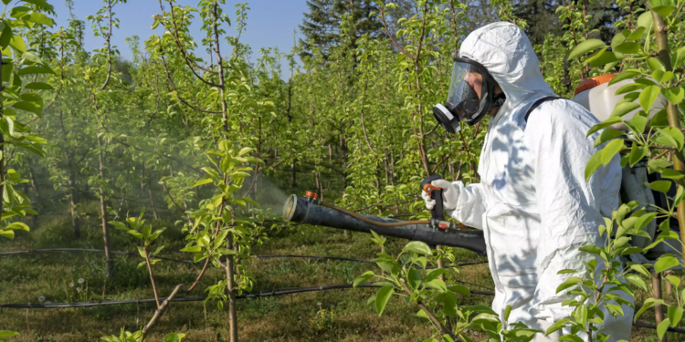 Comissão de Meio Ambiente do Senado aprova PL dos defensivos agrícolas