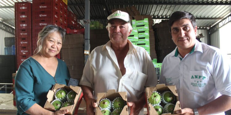 Cooperativa de Carlópolis irá receber recurso do programa Coopera Paraná