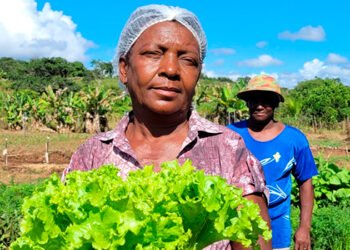 Incentivo de 4,8 mil beneficia agricultores do cerrado no Norte de Minas