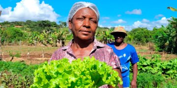 Incentivo de 4,8 mil beneficia agricultores do cerrado no Norte de Minas
