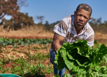 Rede de intercooperação impulsiona negócios de 13 mil famílias da agricultura familiar