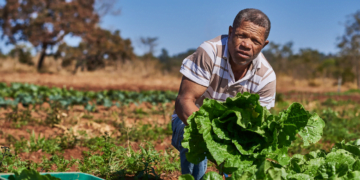 Rede de intercooperação impulsiona negócios de 13 mil famílias da agricultura familiar