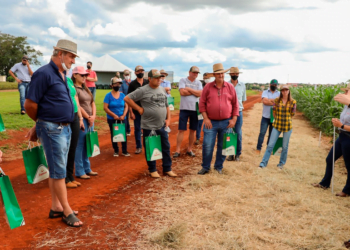 Cooperativas do Paraná iniciam a realização dos Dias de Campo