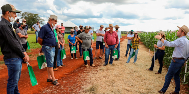 Cooperativas do Paraná iniciam a realização dos Dias de Campo