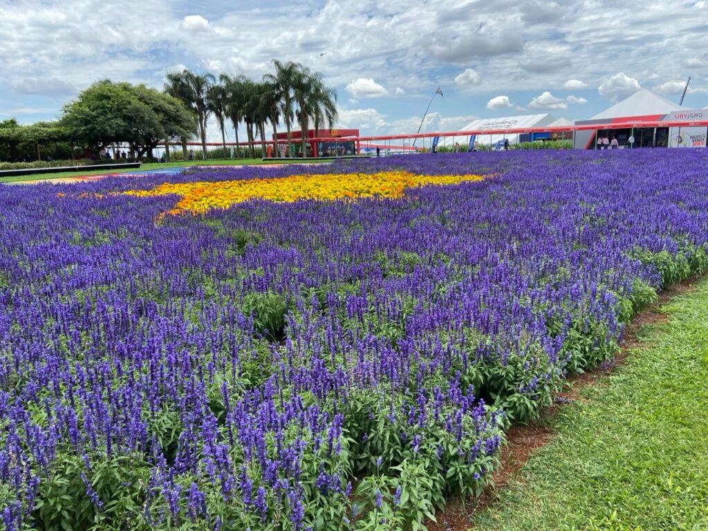 Neste ano, houve recorde de tecnologias apresentadas para as mais diversas áreas da cadeia do agronegócio