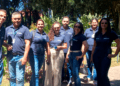 Imersão ao cooperativismo reúne colaboradores no Paraná 7 3 12