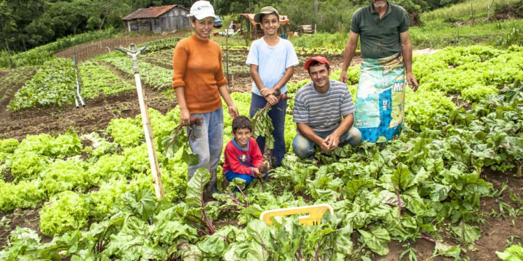 agricultura familiar