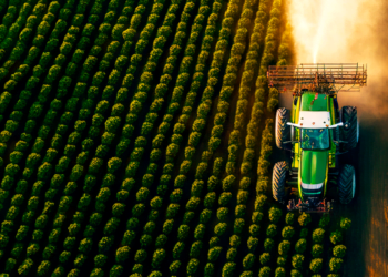 Cooperativas agro fazem investimentos bilionários para expansão das atividades