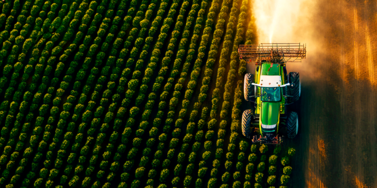 Cooperativas agro fazem investimentos bilionários para expansão das atividades