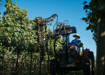 Vitis Aurora ocorre entre os dias 7 e 9 de maio, na unidade da cooperativa em Pinto Bandeira, na Serra Gaúcha. 
Crédito: Anderson Pagani/Coop. Vinícola Aurora, divulgação