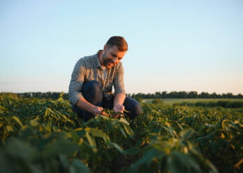 Projeto Marca Agro do Brasil é lançado para promover reconhecimento do agro no país