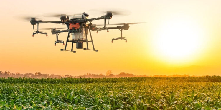 Cooperativa firma parceria para tornar acessível tecnologia de aplicação por drones a agricultores