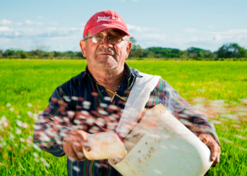 Cooperativismo agropecuário tem grande papel na produção mundial de alimentos