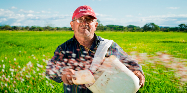 Cooperativismo agropecuário tem grande papel na produção mundial de alimentos