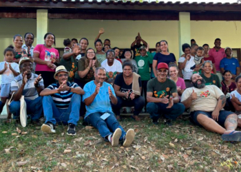 Cooperativa gera renda reflorestando áreas degradadas da Mata Atlântica