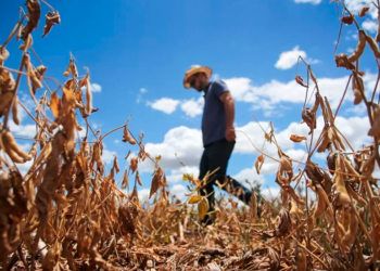 Ministério da Agricultura será transferido temporariamente para o RS