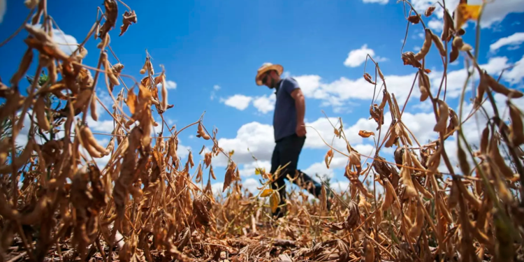 Ministério da Agricultura será transferido temporariamente para o RS