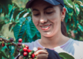 Cafeicultores de cooperativa mineira são os primeiros do mundo a receber selo de baixo carbono