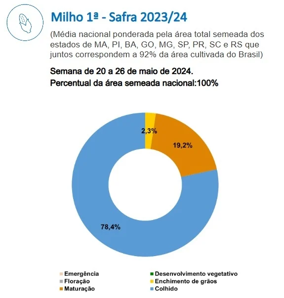 milho 1 safra conab plXTm