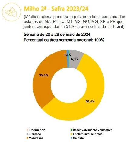 milho 2 safra conab brwtU