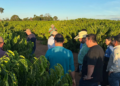 Crescimento da cadeia produtiva do café de Rondônia é destacado por cooperativa de Minas Gerais 6 Crescimento da cadeia produtiva do café de Rondônia é destacado por cooperativa de Minas Gerais