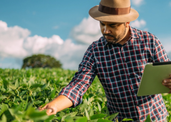 Agricultura inteligente revoluciona a produção no campo