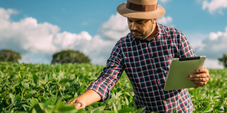 Agricultura inteligente revoluciona a produção no campo