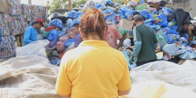 Alesp aprova isenção de ICMS a cooperativas e associações de catadores de recicláveis