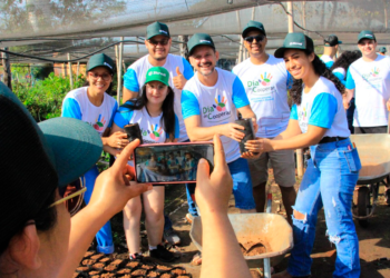 Voluntários realizam etapa do projeto de reflorestamento das nascentes em Araputanga / Foto: Sicredi Biomas