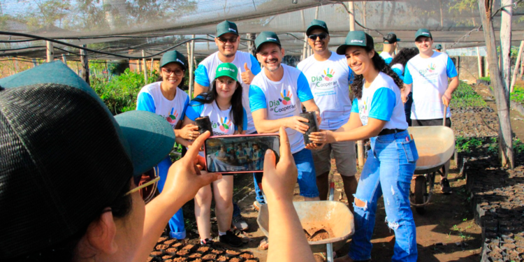 Voluntários realizam etapa do projeto de reflorestamento das nascentes em Araputanga / Foto: Sicredi Biomas