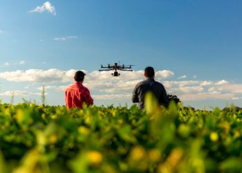 Cooperativas se alinham às maiores tendências do agro em 2024