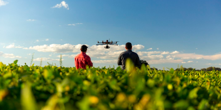 Cooperativas se alinham às maiores tendências do agro em 2024