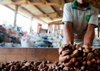 Cooperativas protagonizam novo momento para a sustentabilidade brasileira