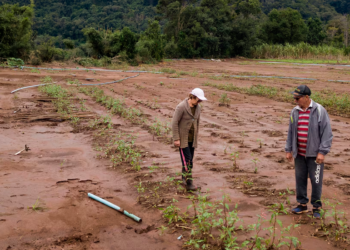 Preocupação com a produção de alimentos mobiliza campanhas em prol do campo