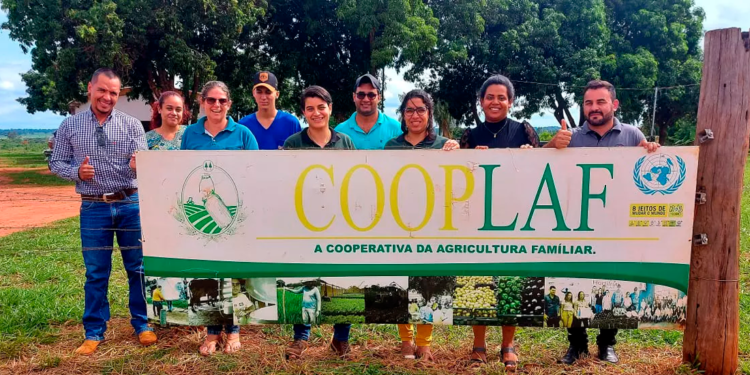 Cooperativa muda realidade de famílias e é exemplo de protagonismo feminino