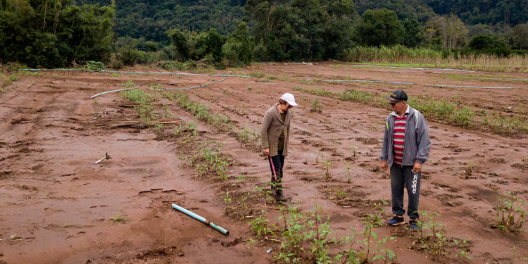 Preocupação com a produção de alimentos mobiliza campanhas em prol do campo