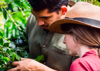 Cooperativas agrícolas do RS pedem renegociação de dívidas