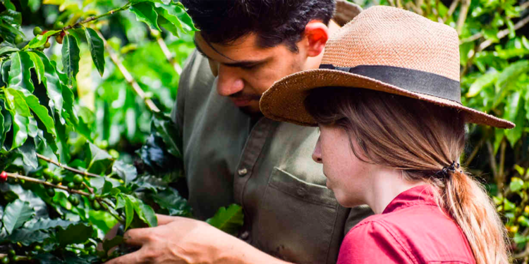 Cooperativas agrícolas do RS pedem renegociação de dívidas