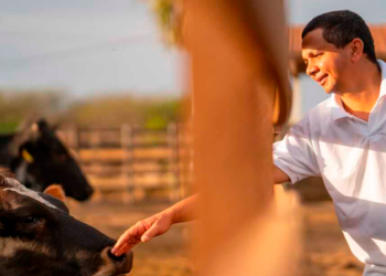 Plano Safra deve ter R$ 80 bi para agricultura familiar e incentivo para cooperativas e leite